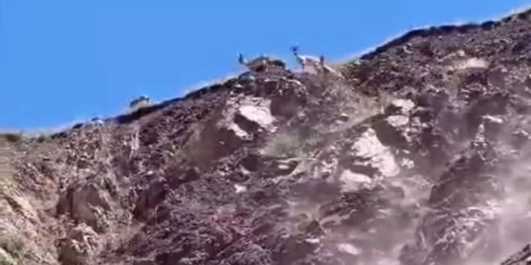 Elazığ’da dağ keçileri görüldü