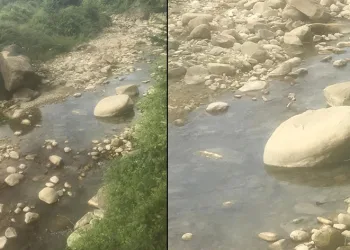 Taşa sıkıştı, boğularak hayatını kaybetti