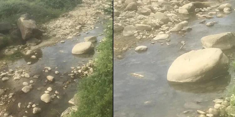 Taşa sıkıştı, boğularak hayatını kaybetti