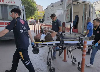 1’i ağır 4 orman işçisi yaralandı