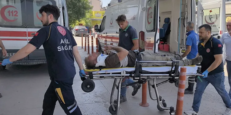 1’i ağır 4 orman işçisi yaralandı