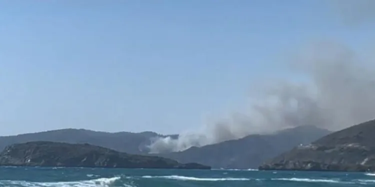 Marmaris Hisarönü’nde orman yangını