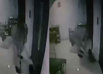 Kediye apartmanda sopayla saldırdı