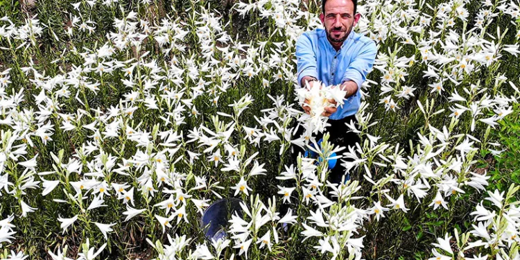 Faydaları saymakla bitmiyor