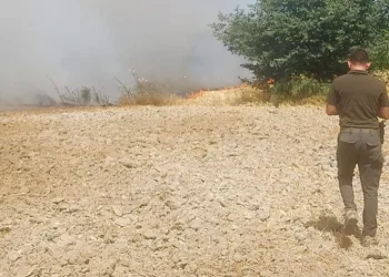 Ula’da ziraat arazisinde yangın