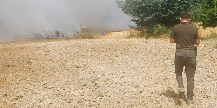 Ula’da ziraat arazisinde yangın