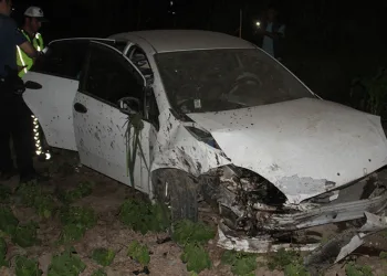 Otomobil ağaca çarpıp sebze bahçesine girdi