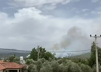 Muğla’da orman yangını başladı