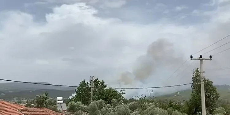Muğla’da orman yangını başladı