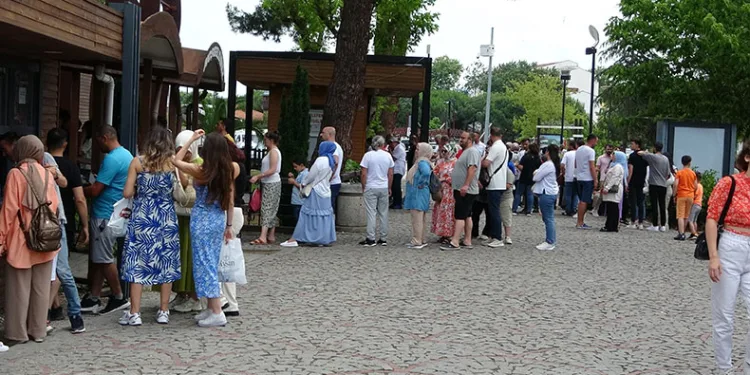Ordu’da teleferik yoğunluğu