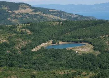 Göletteki su seviyesi çiftçiyi sevindirdi