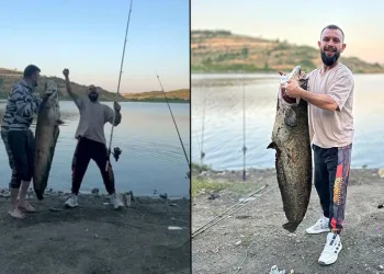 Bursa’da 165 santimetrelik balık tuttular