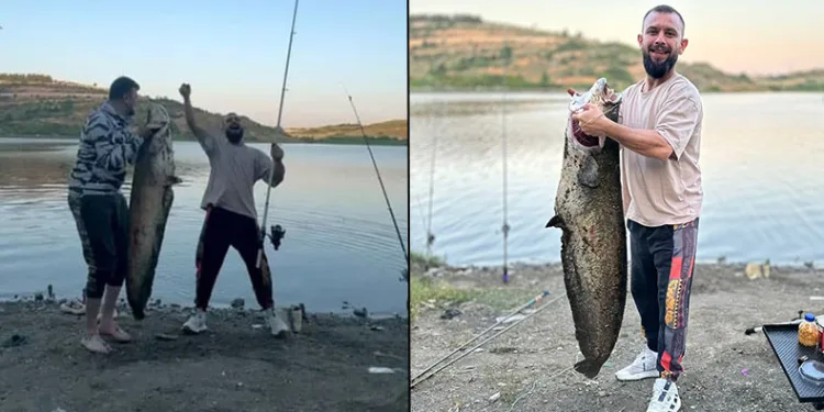 Bursa’da 165 santimetrelik balık tuttular