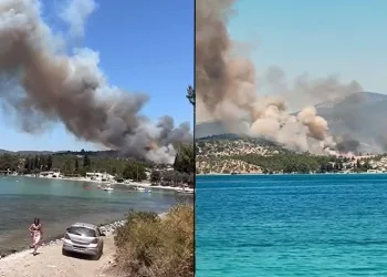 Milas’ta orman yangını
