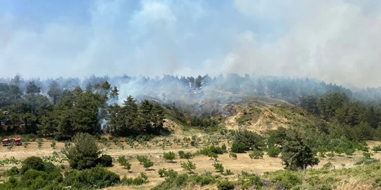 Çanakkale’de orman yangını