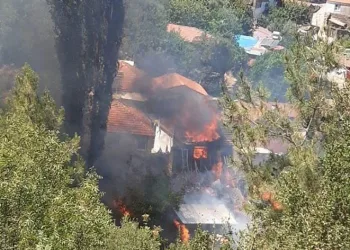 Aydın’da iki ayrı noktada yangın çıktı