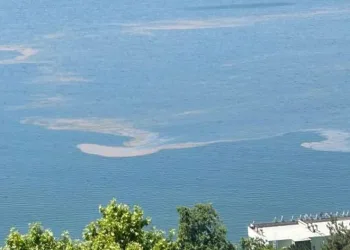Marmara Denizi’nde müsilaj endişesi