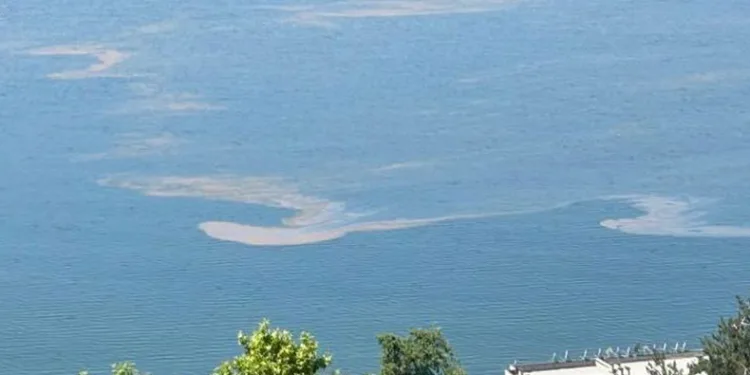 Marmara Denizi’nde müsilaj endişesi