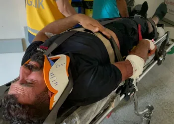 Küçükbaş kurbanlık yüklü tır devrildi