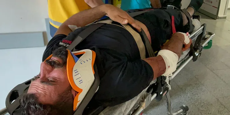 Küçükbaş kurbanlık yüklü tır devrildi