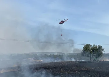Çanakkale’de 5 dönüm orman, 11 dönüm tarım arazisi zarar gördü
