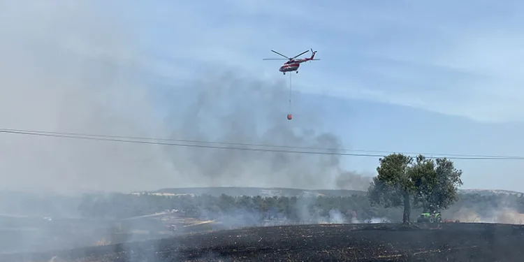 Çanakkale’de 5 dönüm orman, 11 dönüm tarım arazisi zarar gördü