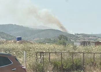 Milas’taki orman yangını kontrol altına alındı