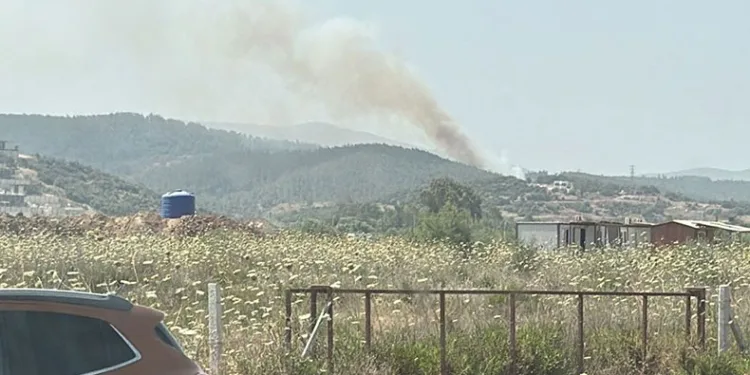 Milas’taki orman yangını kontrol altına alındı
