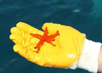 Akyarlar’da deniz dibi temizliği