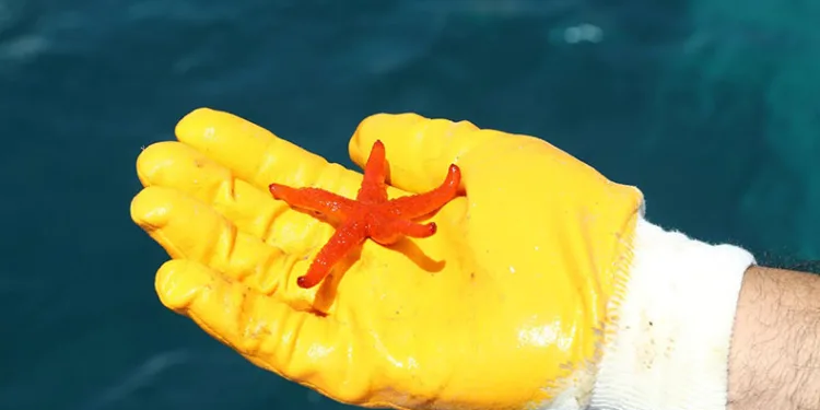 Akyarlar’da deniz dibi temizliği