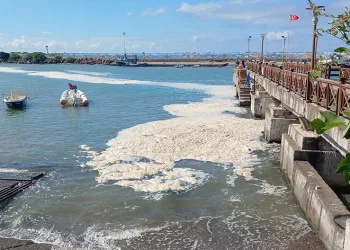 Karadeniz’de müsilaj yayılıyor