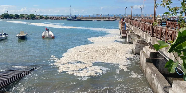 Karadeniz’de müsilaj yayılıyor