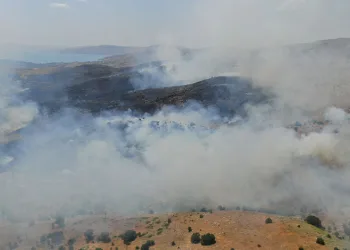 Elazığ’da orman yangını