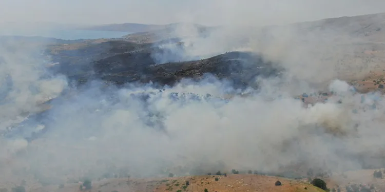 Elazığ’da orman yangını