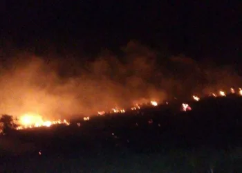 Malatya’da orman yangını