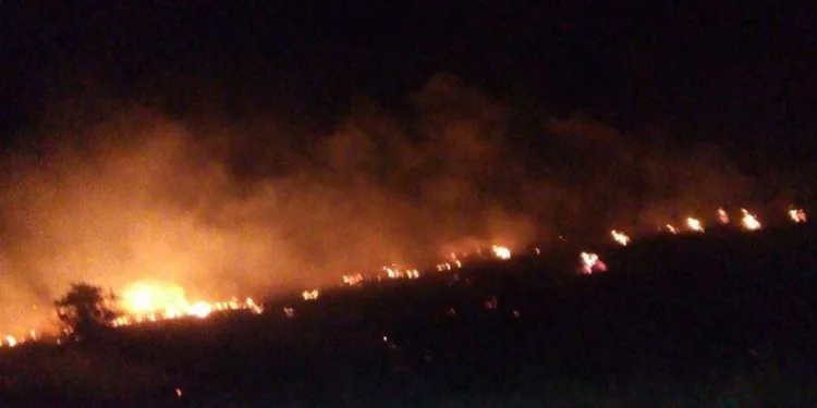 Malatya’da orman yangını