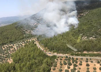Muğla ve Antalya’da orman yangını