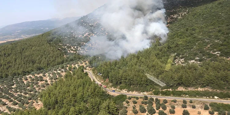 Muğla ve Antalya’da orman yangını