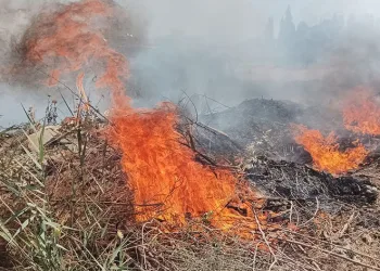 Denizli’de çöplük alanda çıkan yangın büyümeden söndürüldü