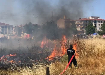 Mahalle arasındaki arazi yangını korkuttu