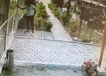 Pansiyona giremeyince yavru köpeği götürdü