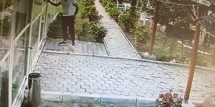 Pansiyona giremeyince yavru köpeği götürdü