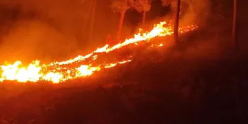 Mersin’de orman yangını