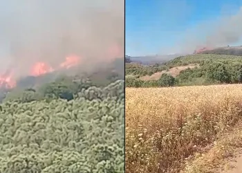 Mudanya’da ve Gemlik’te korkutan yangınlar