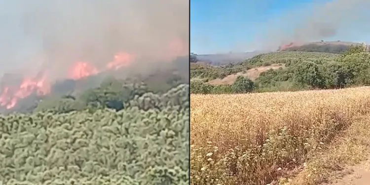 Mudanya’da ve Gemlik’te korkutan yangınlar
