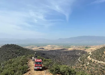 Manisa’daki orman yangını söndürüldü