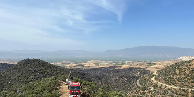 Manisa’daki orman yangını söndürüldü