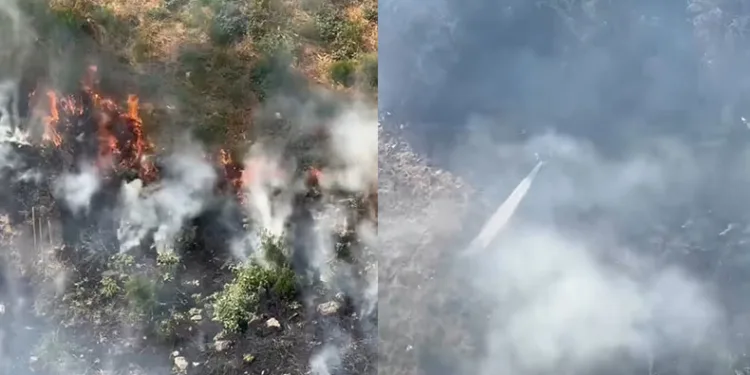 Kağıthane’de otluk alanda yangın