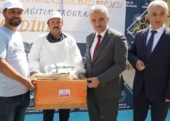 Kırıkkale’de arıcılığa büyük destek