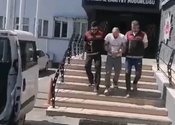 Bursa’da motosiklet faresi yakalandı